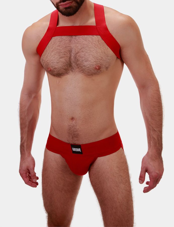 Barcode Harness Matt Red 