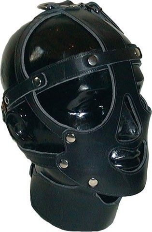 Leather face harness