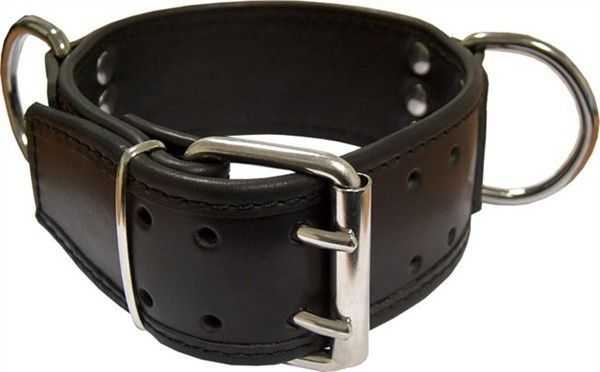 Slavecollar with D-rings broad