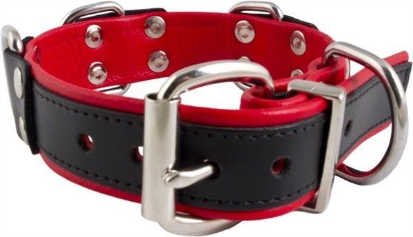 Slave Collar 4 D-Rings (Red)