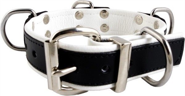 Slave Collar 4 D-Rings (White)