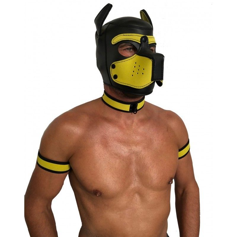 Set Puppy Collar + Biceps Black/Yellow